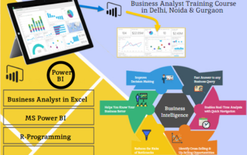 Business Analytics Certification Course in Delhi,