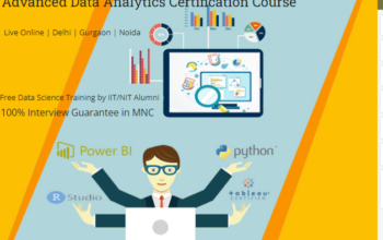 Job Oriented Data Analyst Certification in Delhi