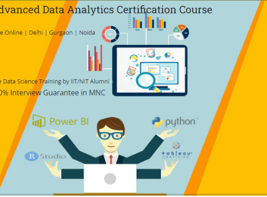 Job Oriented Data Analyst Certification in Delhi