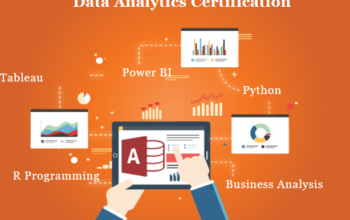 Data Analyst Training Course in Delhi, 110095.