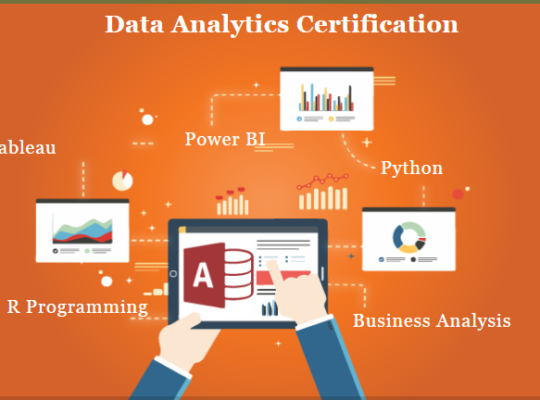 Data Analyst Training Course in Delhi, 110095.